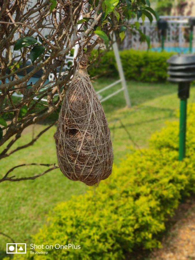New Hemanjali Resort Bolpur Exteriér fotografie